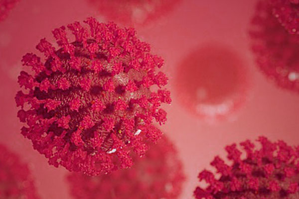 Microscopic image of the COVID-19 virus
